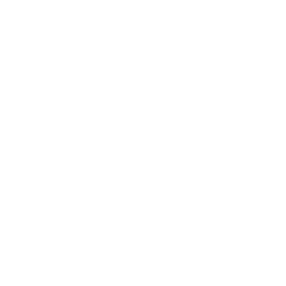 TZX Logo